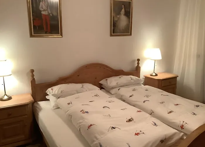 Lejlighed Cosy In Quiet Residential Area - Newly Renovated Bad Ischl